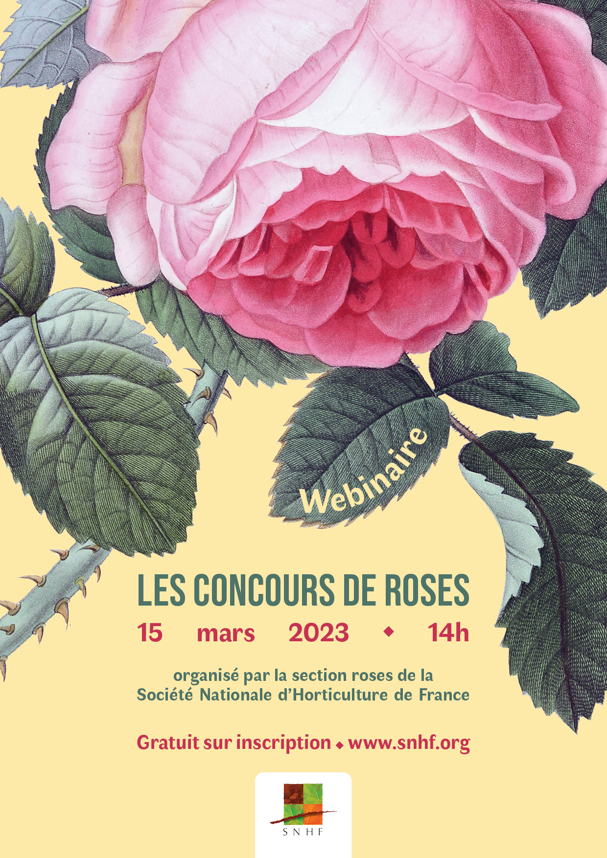 Concours De Roses